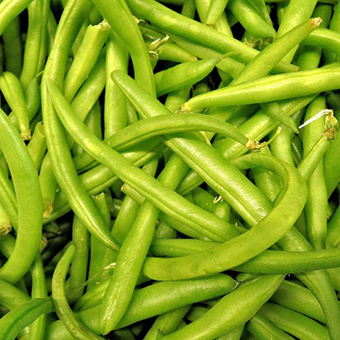 bean(green)