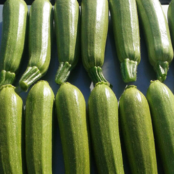 zucchini